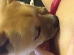 Brazen Ukrainian wife is having fun with her submissive brown dog